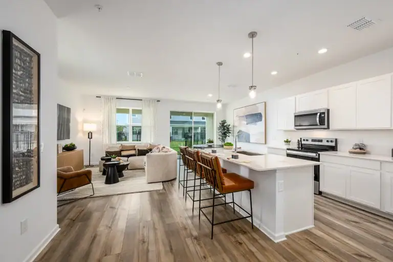 Rinehart Kitchen and Living